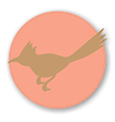 roadrunner icon